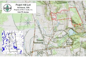 Pulpit Hill Lot