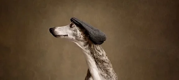 dog1